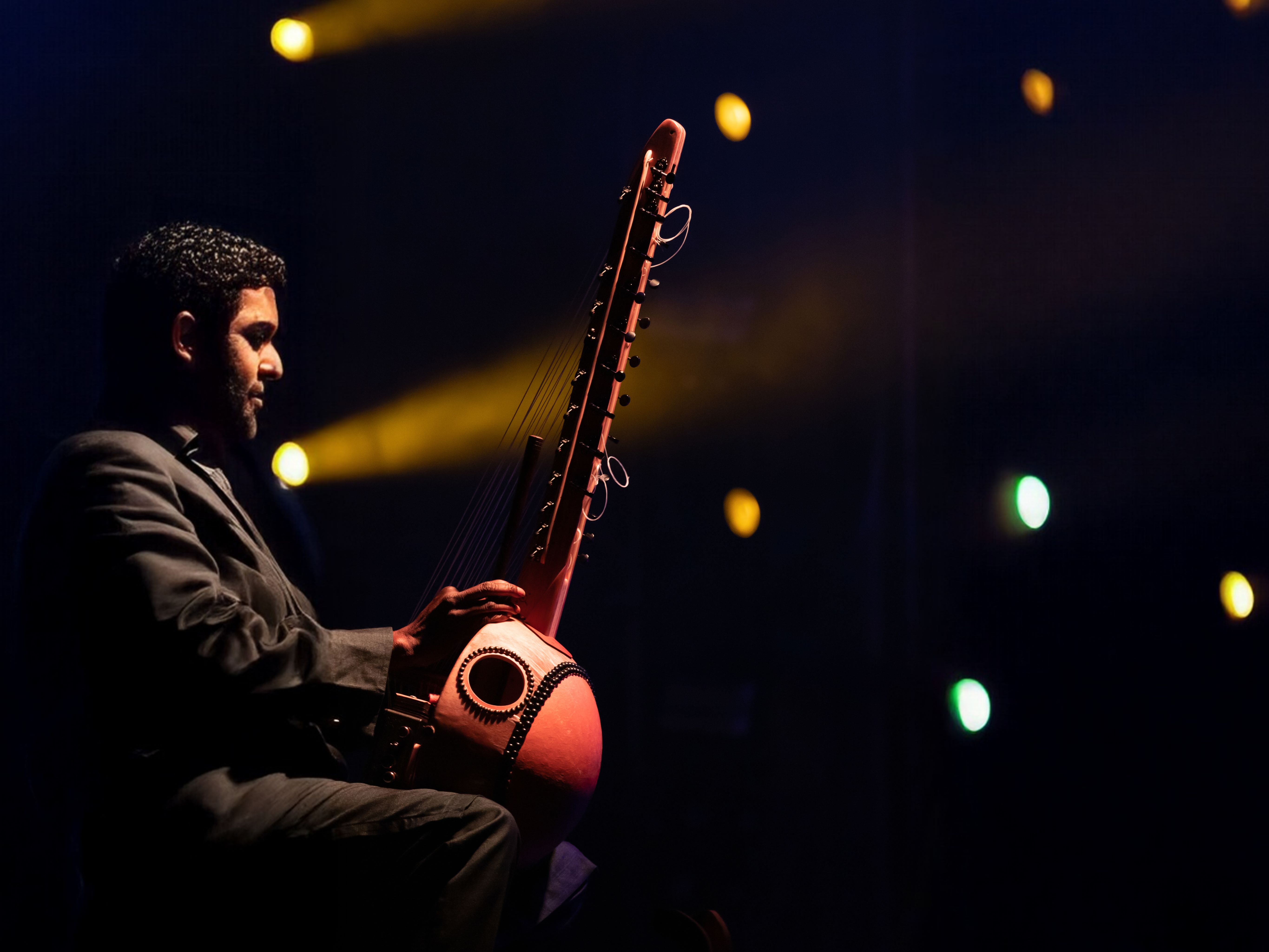 MUSICIAN/INSTRUMENTALIST